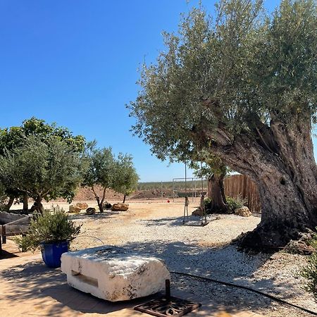 La Casa Del Olivo Villa Ecija Luaran gambar