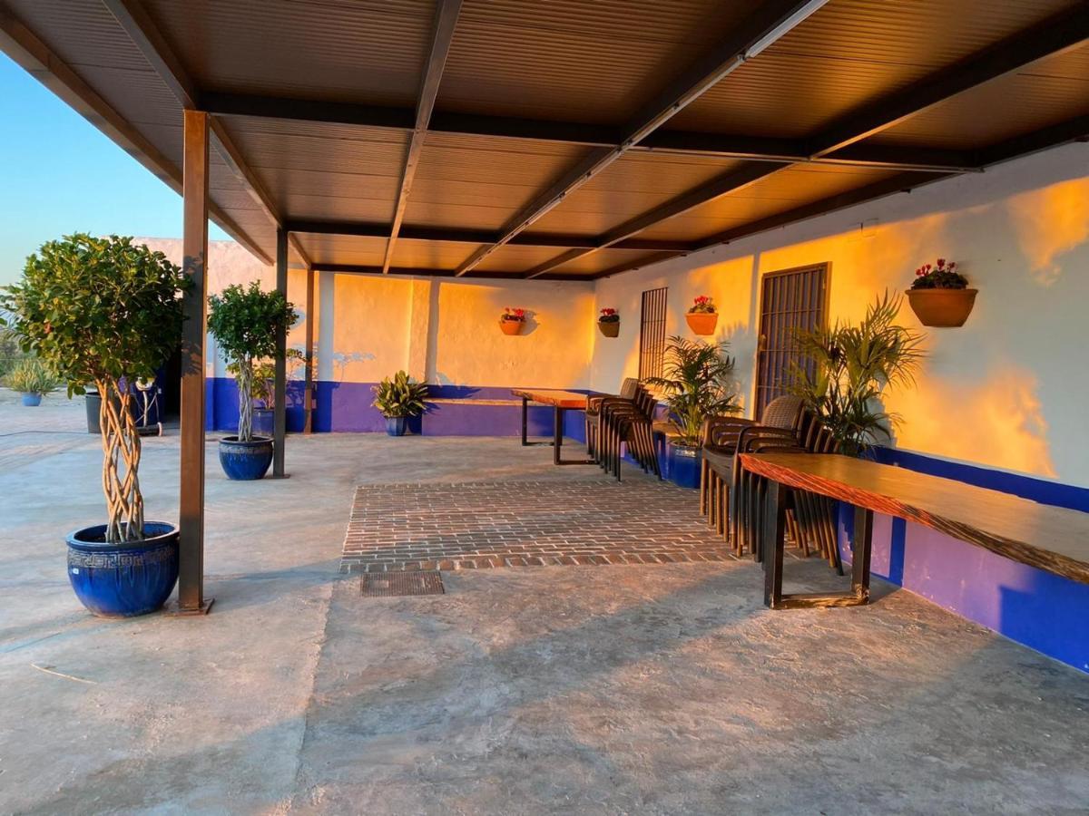 La Casa Del Olivo Villa Ecija Luaran gambar