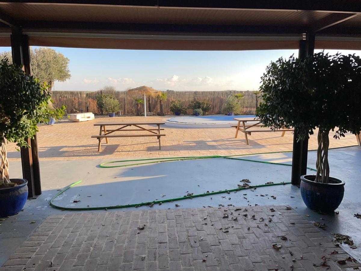 La Casa Del Olivo Villa Ecija Luaran gambar